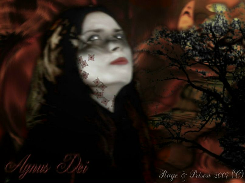 Prison Barless фотография #17