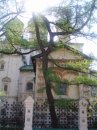 Александр Скребнев фотография #16 (источник - https://vk.com/id43556684)
