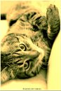 Фотография Машенцевой Иры
