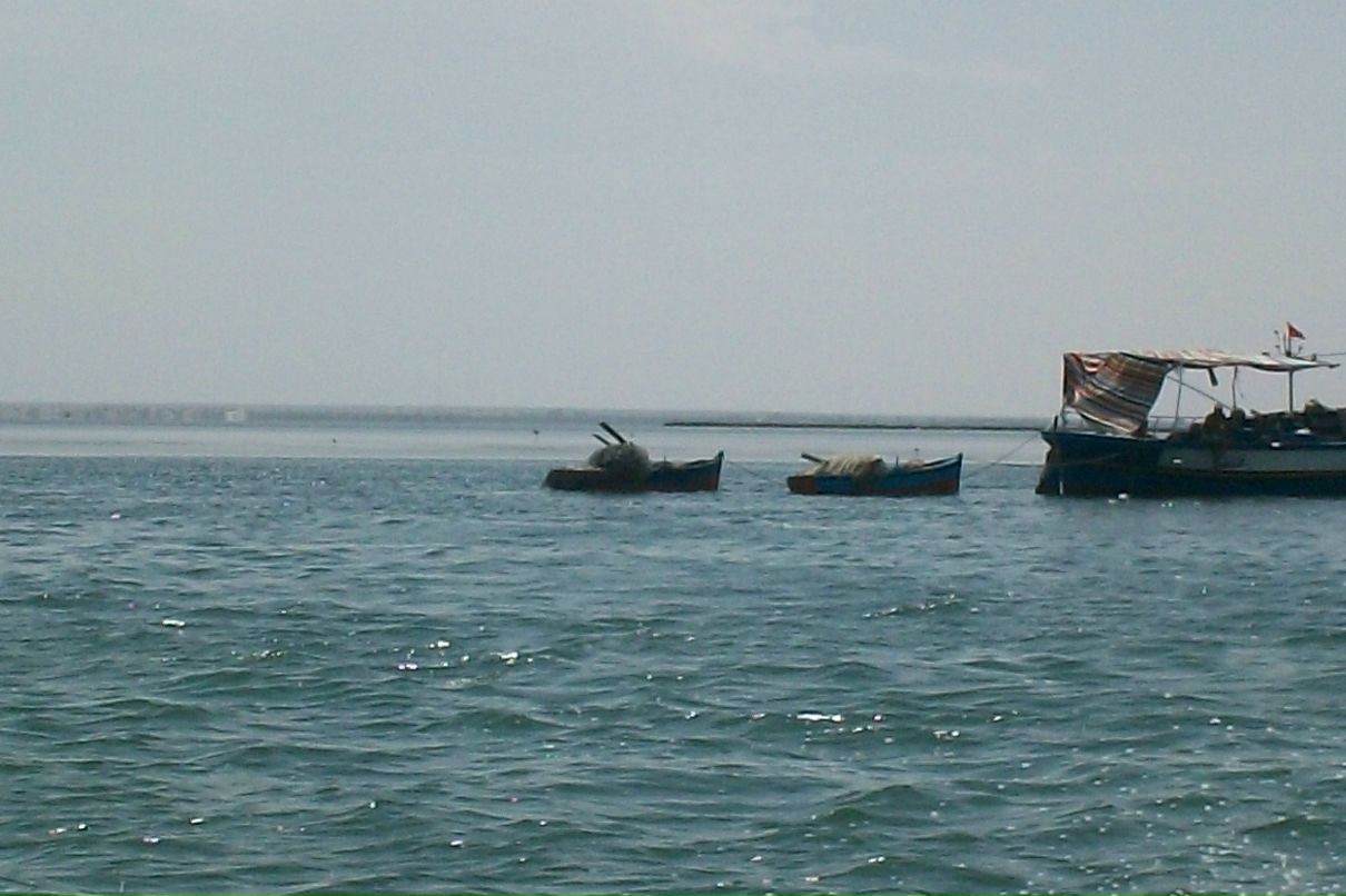 Дмитрий Ковалёв фотография #29