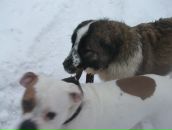 Фотография Ильина Макса