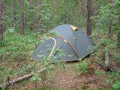 Фотография Поречная Надежда