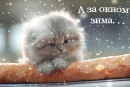 Фотография Алексеева Александра