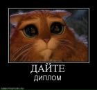 Фотография Привалихиной Натальи