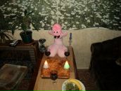 Фотография Флейштор Натальи