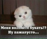 Фотография Елисеевой Ольги