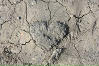 Фотография Марковой Алены