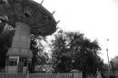 Ронечка Козлова фотография #13 (источник - https://vk.com/id41127818)