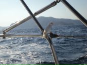 Secured Secured фотография #5 (источник - https://vk.com/id4428325)