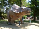 Оксана Приснітска фотография #7 (источник - https://vk.com/id144576565)