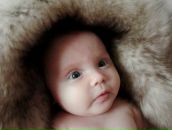 Фотография Муромцева Дмитрия