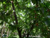 Марія Манко фотография #43 (источник - https://vk.com/id21332115)