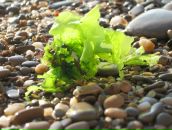 Андрій Кратчук фотография #32 (источник - https://vk.com/id24595452)