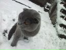 Наташа Вишнякова фотография #33 (источник - https://vk.com/id132965606)