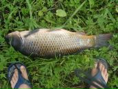 Славік Дюк фотография #3 (источник - https://vk.com/id68344779)