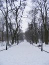 Олексій Лозинський фотография #49 (источник - https://vk.com/id8884179)