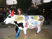 Наташка Дзедзінська фотография #31 (источник - https://vk.com/id23570342)