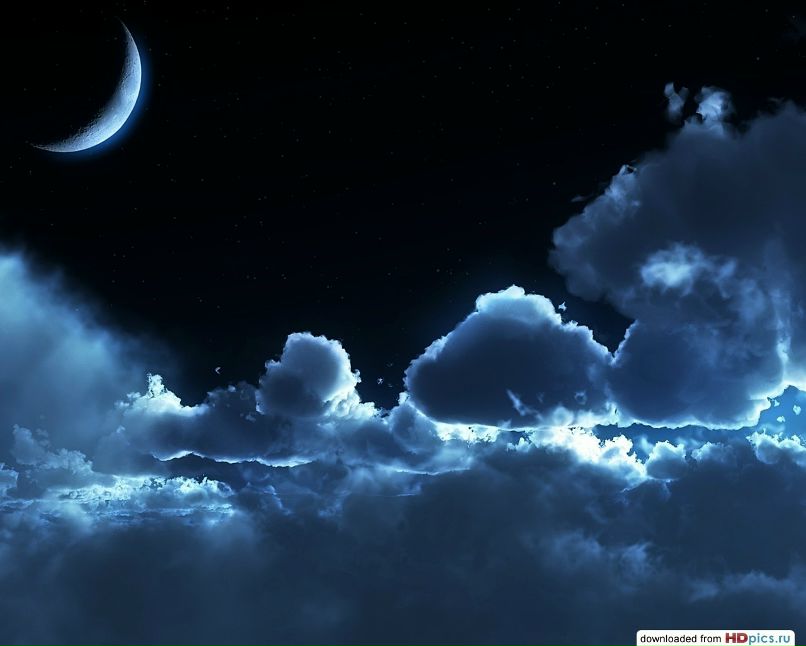 Сергей Степанов фотография #43