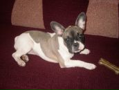 Галина Олексіївна фотография #45 (источник - https://vk.com/id99882186)