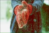 Алёна Мирошниченко фотография #47 (источник - https://vk.com/id1997397)