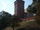 Дмитрій Сущук фотография #43 (источник - https://vk.com/id145479460)