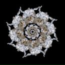 Фотография Скайвокера Anikin