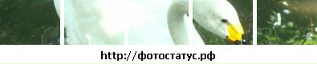 Діма Оксеньчук фотография #26 (источник - https://vk.com/id49665857)