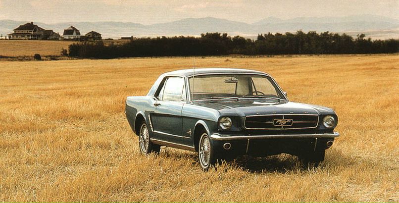 Сергей Мазеев фотография #39