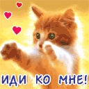 Міша Прохоров фотография #5 (источник - https://vk.com/id154431141)