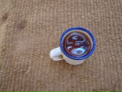 Фотография Novitskaya Natala