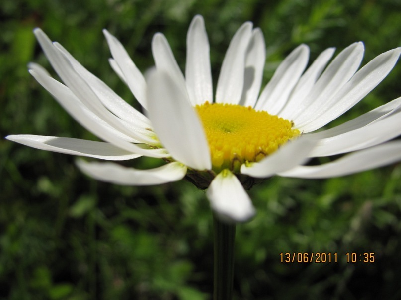 Ольга С фотография #6