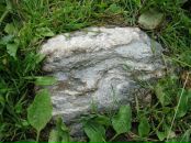 Александр Поліщук фотография #21 (источник - https://vk.com/id9517536)