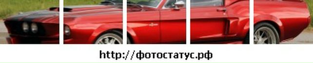 Діма Сахневич фотография #9 (источник - https://vk.com/id133123057)