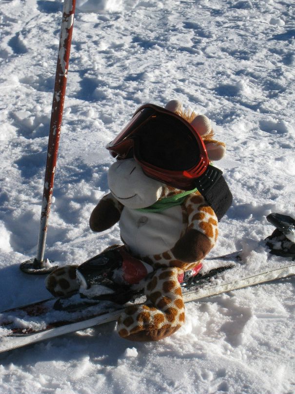 Дмитрий Жмакин фотография #24