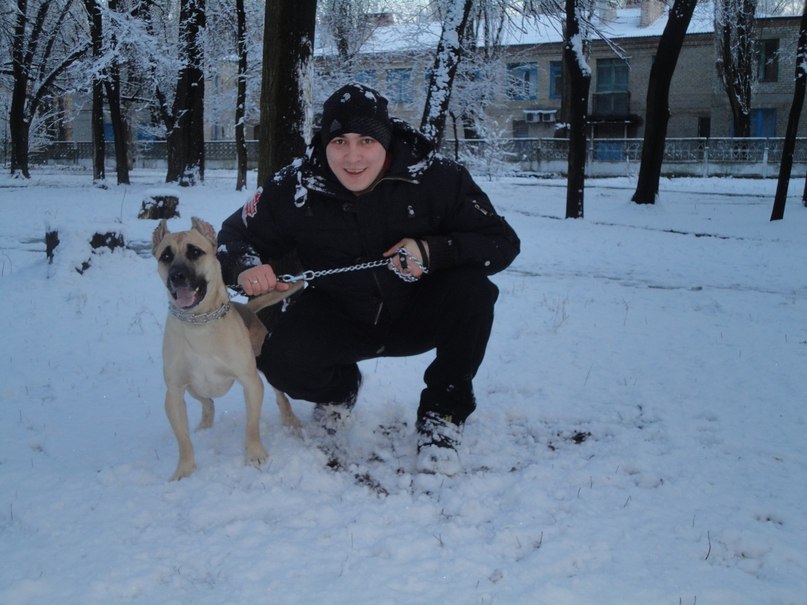 Иван Шишка фотография #28