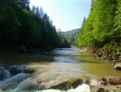 Христина Вівчарик фотография #14 (источник - https://vk.com/id56368437)