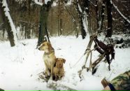 Віталік Владимиров фотография #5 (источник - https://vk.com/id25436486)