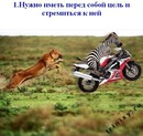 Светик Евтушенко фотография #32 (источник - https://vk.com/id143337040)