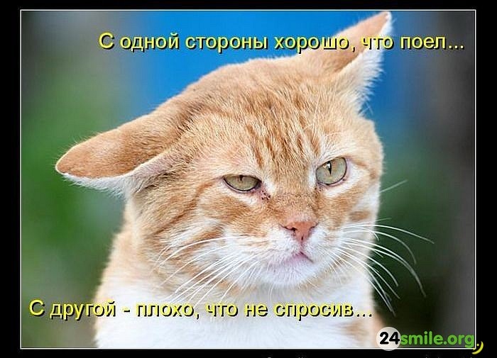 Ivan Vik фотография #17