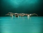 Фотография Захарова Евгения