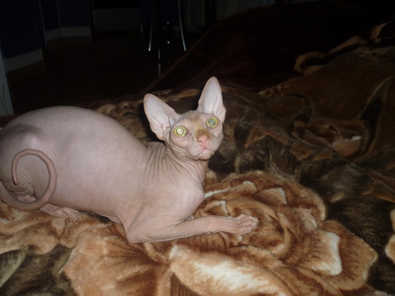 Дмитрий Дмитрий фотография #39