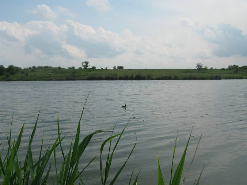 Константин Свиридонов фотография #36