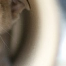 Юля Пічкар фотография #22 (источник - https://vk.com/id143598490)