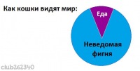 №19, Алексей Рожко, 37 лет, Москва №19, Алексей Рожко, 37 лет, Москва
