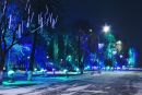 Фотография Князевой Анны