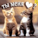 Оля Ерделі фотография #13 (источник - https://vk.com/id104461787)