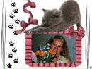Фотография Васичкиной Ирины
