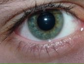 Фотография Кудрякова Дамира