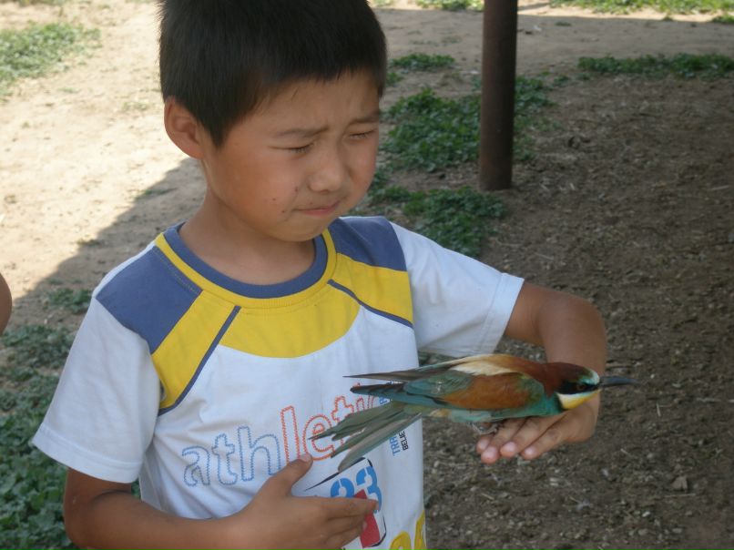 Макс Корнеев фотография #12