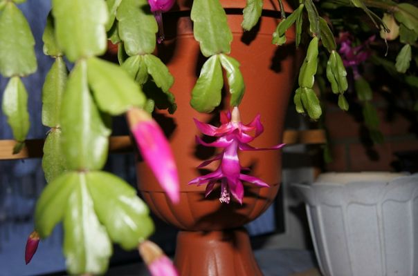 Софья Логунова фото №46